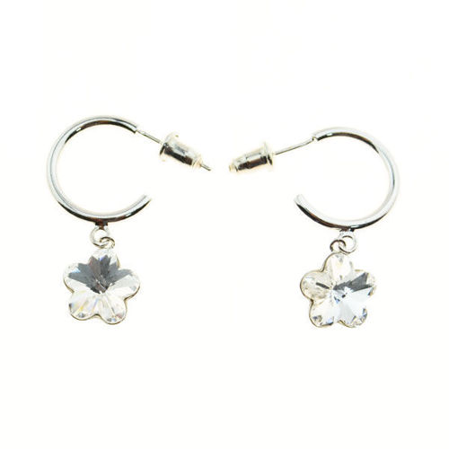 Picture of Crystal Earrings. Crystal  Color