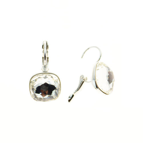 Picture of Crystal Rectangle Earrings. Crystal  Color